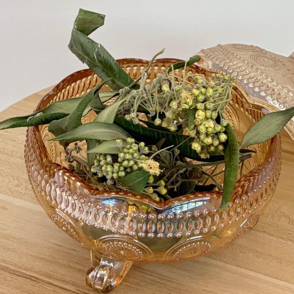 Dried Lemon Myrtle Flowers & Leaves, herbal tea raw material