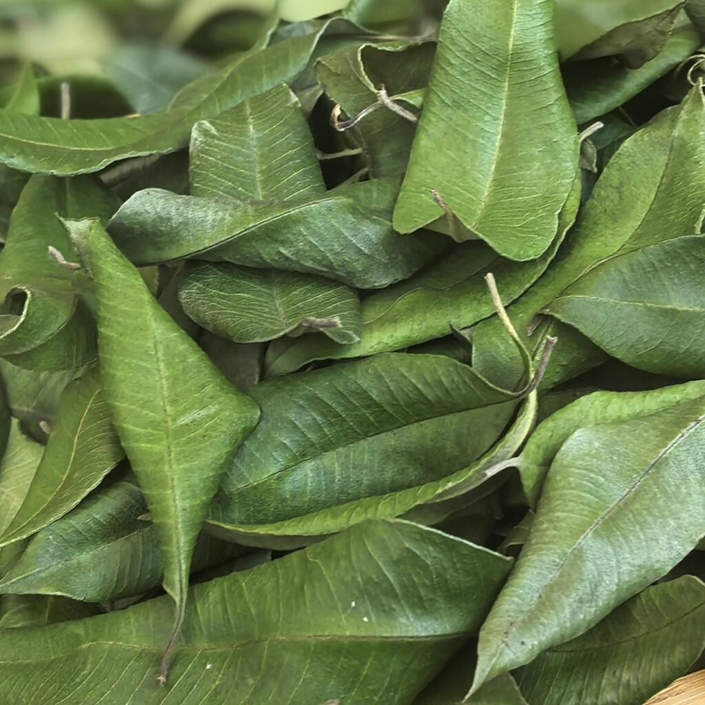 Whole Dried Lemon Myrtle Leaves, hand-picked for herbal tea